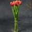 thumb-Букет красно-желтых тюльпанов 9шт-1}