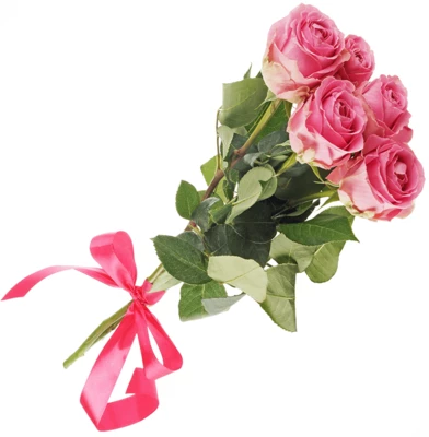 Лента атласная Малиновая 25мм-0}