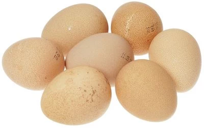 Яйцо цесарки 10шт-0}