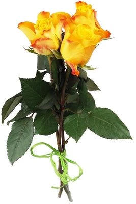 Букет роз Мари Клер 3шт-0}