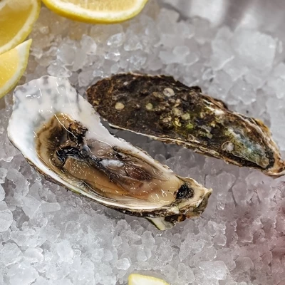 Устрица императорская 1шт-0}