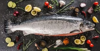 Семга - королева лососей