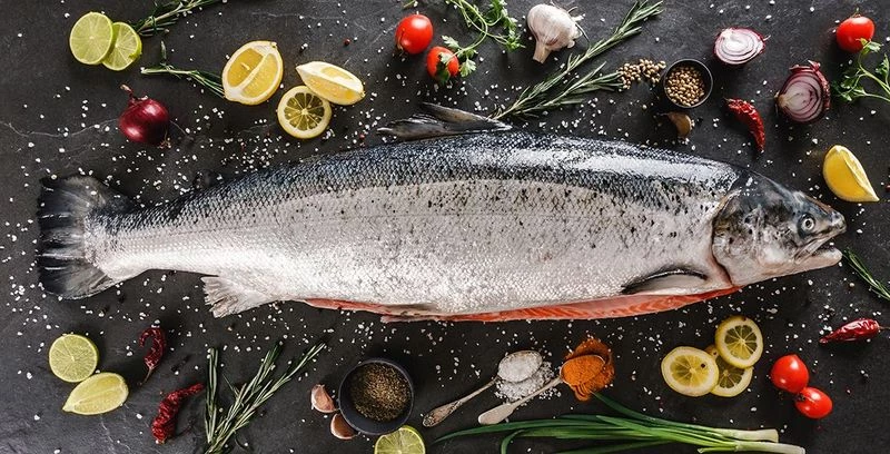 Семга - королева лососей