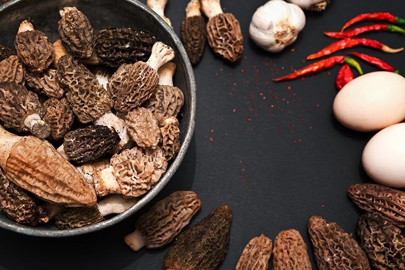 Сморчки: где и когда собирать, как готовить?