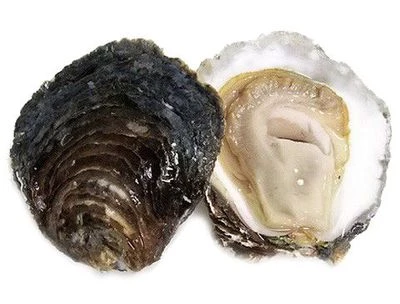 Устрицы Белон-0}