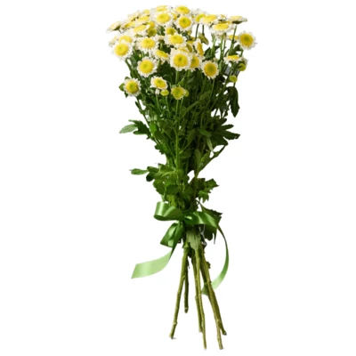 Букет хризантем Ромашковое поле 7шт-0}