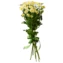 thumb-Букет хризантем Ромашковое поле 7шт-0}
