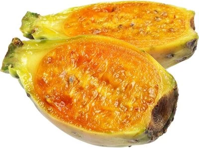 Опунция кактус 1шт-0}