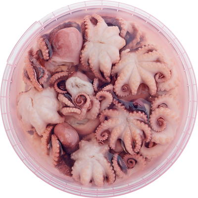 Осьминоги молодые в рассоле отварные пресервы 300г-0}