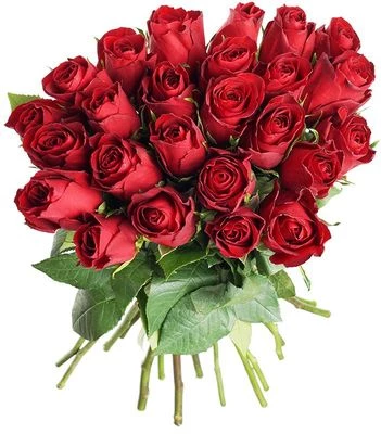 Букет красных роз Мадам ред 25шт-0}