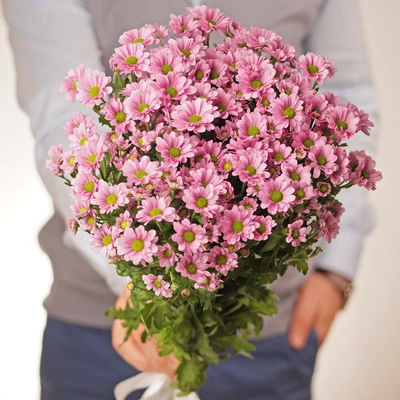 Хризантема розовая Сантини Крисси 55см 1шт-0}