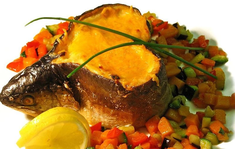 Форель, запеченная с сыром