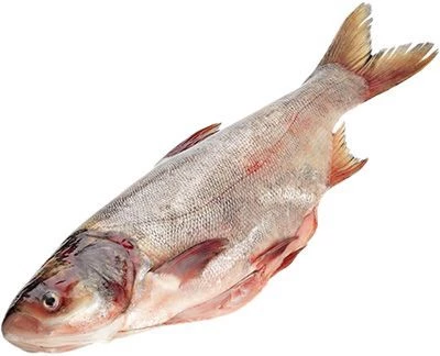 Толстолобик потрошеный охлажденный ~1,5кг-0}