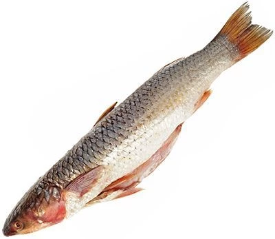 Кефаль (пеленгас) азовская замороженная ~ 1,5кг-0}