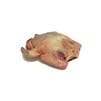 Голубь домашний ~ 400г-0}