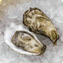 Устрица Специаль Касабланка