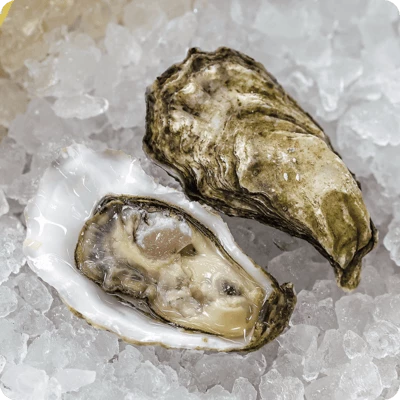 Устрица Специаль Касабланка-0}