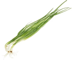Лук зеленый свежий Тульская область 100г
