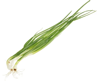 Лук зеленый свежий Тульская область 100г-0}