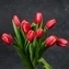 thumb-Букет красно-белых тюльпанов 9шт-2}