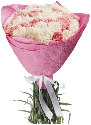 Букет гвоздик №70 Праздник души 49шт-0}