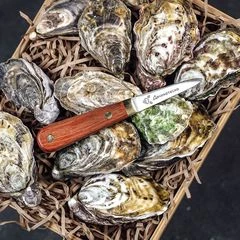 Нож для устриц Oyster 