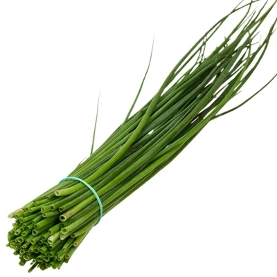 Лук-резанец Россия 50г-1}