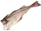 Пикша замороженная ~1,3кг