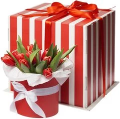 Букет красно белых тюльпанов в красной шляпной коробке L ~17шт