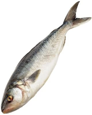 Кахавай мороженая ~ 1,5кг-0}