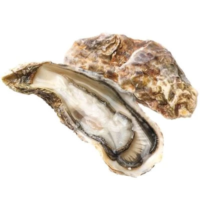 Устрица Сайон 1шт-0}