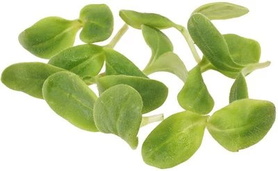 Микрозелень Бораго 40г-0}