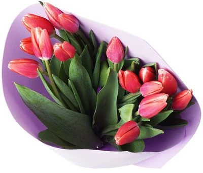 Букет тюльпанов Обещание любви 15шт-1}