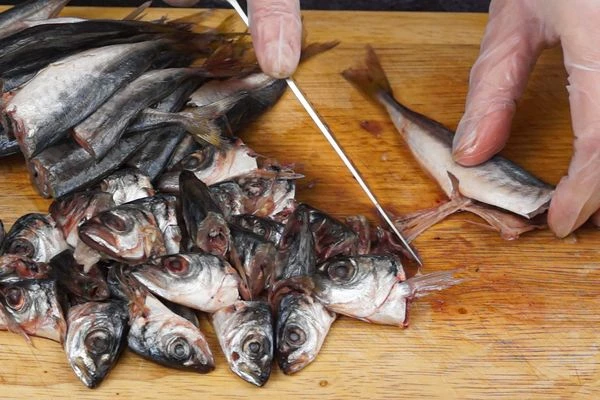  Рыбу разморозить естественным способом на нижней полке холодильника, промыть под холодной водой. Удалить голову и внутренности (обычно мелкую рыбку не потрошат, но мы решили удалить голову, а заодно и кишочки).