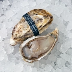 Устрицы Дибба Бэй №3 1шт