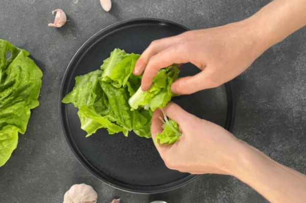 Листья салата вымыть и произвольно нарвать в тарелку для подачи. 
