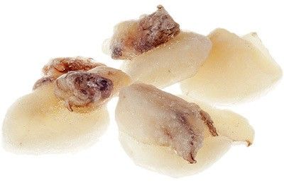 Каракатица молодая очищенная 1кг