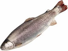 Форель радужная охлажденная ~1кг