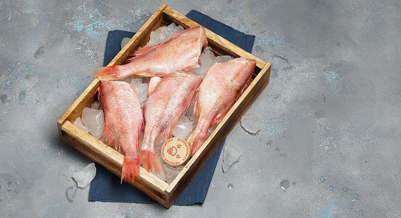 Морской окунь: питательная ценность и польза для здоровья