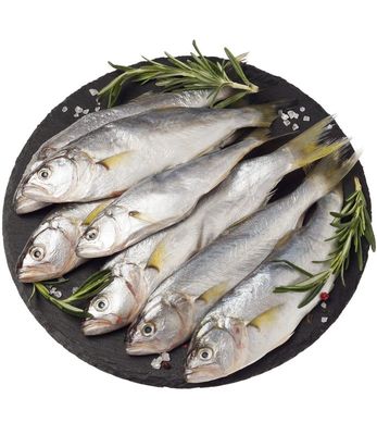 Луфарь черноморский ~1кг-0}