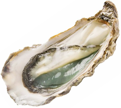 Устрица Фин де Клер 1шт-0}