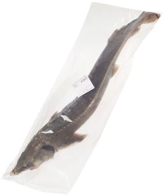 Стерлядь потрошеная ~1,5кг-1}