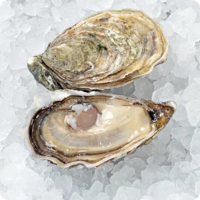 Устрица Перл Блан Франция -0}