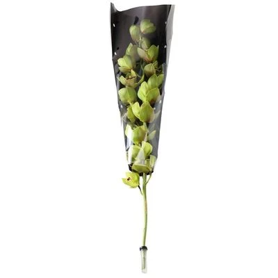 Орхидея зеленая 1шт-0}