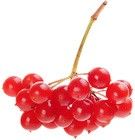 Калина свежая ~200г