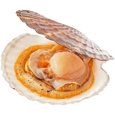 Гребешок живой дальневосточный 1шт -0}