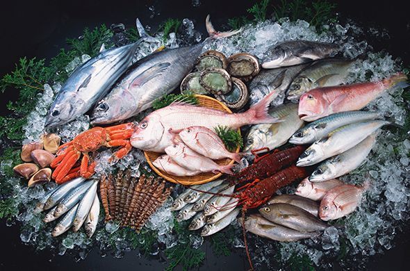 Как выбирать рыбу?