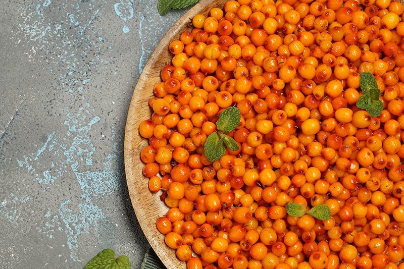 Облепиха: укрепляем иммунитет и боремся с простудой