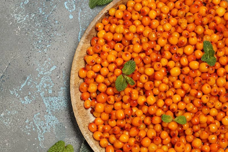 Польза облепихи: укрепляем иммунитет и боремся с простудой