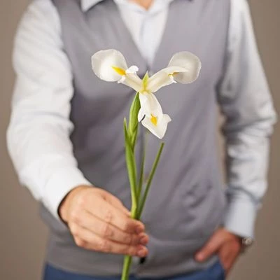 Ирис Вайт Мейджик 1шт-1}